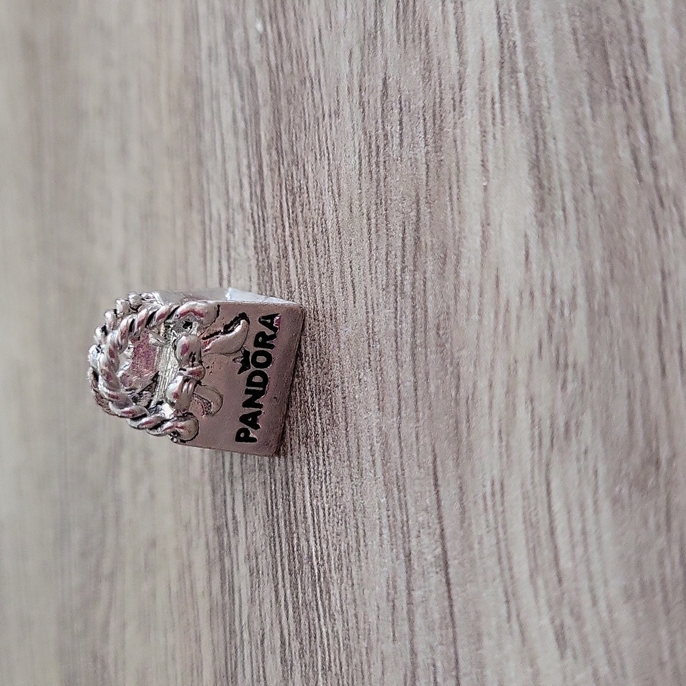 Pandora style cute purse charm